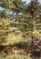 1996  Photos of Shining Trail Girl Scout Council  (GSC) Camp La-Kee-Ta in Danville, Iowa