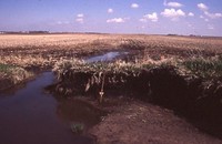 Waterway Construction on the Hummel Farm.