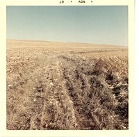 Terraces on Robert Wiese cropland