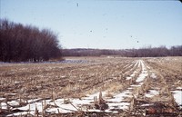 Simonsen-Rupp farmland in winter.