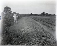 Man in Bean Field with Hand in Bushes