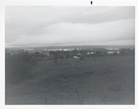 Photograph Collection Of Flooded Soap Creek, 1982 