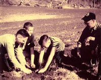Young boys planting a seedling, 1961