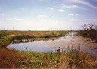 1987 Craig Murguia Pond