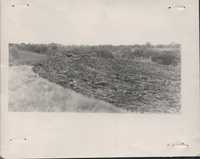 Trenton Wilson plowing at his Leona cousin's farm.