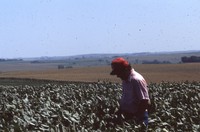 Carver farmstead.