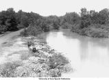 Iowa River dump site, Iowa City, Iowa, November 25, 1933