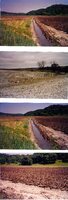 Little Mill Creek, 1999