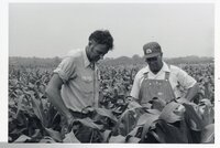 1978 No-till tours