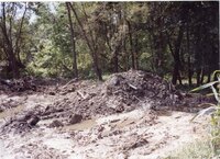 Mud pile by trees