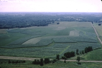 Douglas Township, Section 8 & 9.