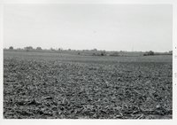 Photograph Collection Of Agricultural Land, 1973.