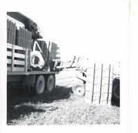 Ward Patterson's farm