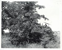 Unidentified man in tractor 
