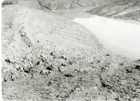 Photograph of Cleared Land 