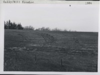 Gully rill erosion.