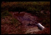 Wetland Project on Jeff Morrison's Farm.