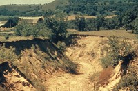 Dry gully.