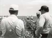 1978 Unidentified men examining corn