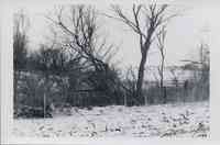 Snowy landscape with a fence and trees on the other side of the fence