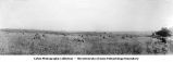 Characteristic mantles of mature erosion topography on the Iowan Drift Plain, Lawler, Iowa, late 1890s or early 1900s