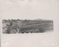 Trenton Wilson plowing at his Leona cousin's farm.