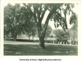 Commencement procession walking north along west side of Pentacrest, The University of Iowa, June 1930