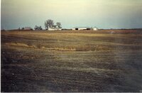 1990s Terraces on Gary Schweitzer's farm