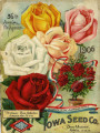 Iowa Seed Company Catalog 1906