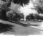 Car on Newton Road near Children's Hospital, The University of Iowa, 1940s