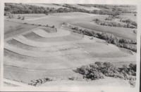 Contoured farmland.