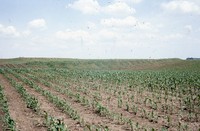 State Conservation Award given to Larry Knaack's farm property.  