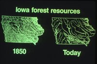1987 Trees and grasses being planted