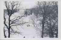 Four unidentified snowy landscapes in Plymouth County, Iowa<br /><br />
<br /><br />
