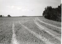 1995 Terracing on Dale Edmonds' Farm