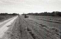 Baling hay
