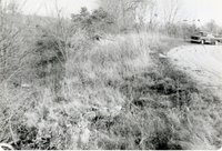 1979 Photograph Collection Of Fisk Ramp Site,