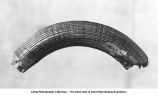 Pleistocene Fauna, Castoroides ohioensis incisor, Nishnabotna Valley, Southwestern Iowa, late 1890s or early 1900s