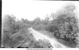 Winding way, view near Iowa City, Iowa, 1900s