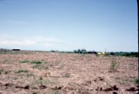 Photograph Collection Of Mrs. Lionel Evans Farm 