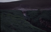 Krenk farmland