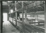 County Farm hog house interior