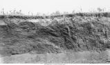 Buchanan Gravels, Earlville, Iowa, late 1890s or early 1900s