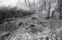 Unidentified Black and White Negatives from Soil Conservation Service taken in 1979