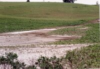 Water runoff drainage area in fields