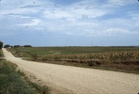Broad-based terraces.