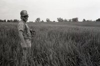 Man with hat, sunglasses, and beard in grassy field