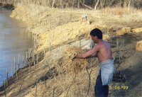 1999 Robert Yaeger Flint Creek Stream bank restoration