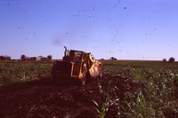 Restoration Project on Smokey Stover's Farm.