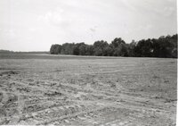 1995 Terracing on Dale Edmonds' Farm